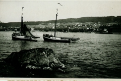 hubert20011