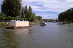 Sani_80.1